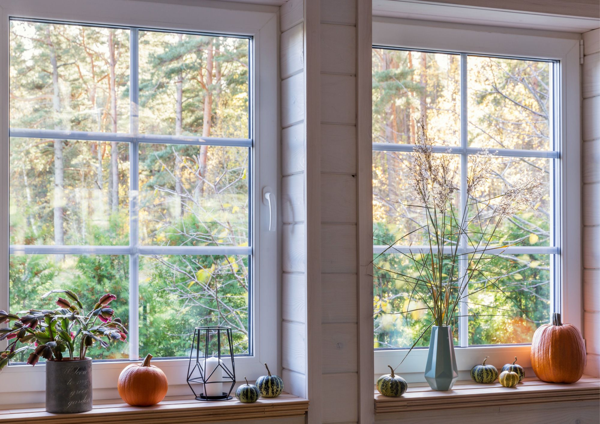Large residential windows in an Isle of Hope, GA home, representing impact-resistant window and storm-protection planning for coastal construction.